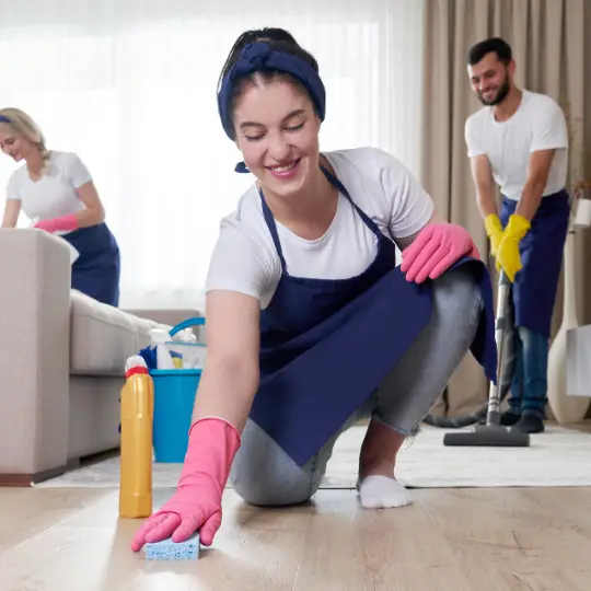 cleaning services harvey il cleaning services chi residential