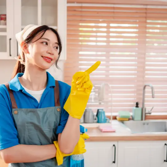 cleaning services homewood il cleaning services chi residential