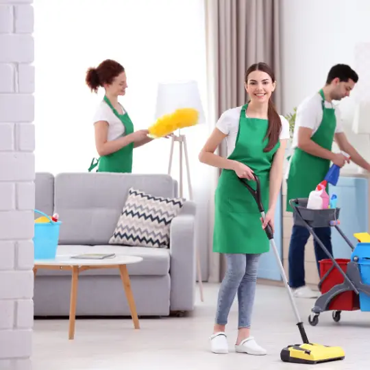 cleaning services niles il cleaning services chi residential