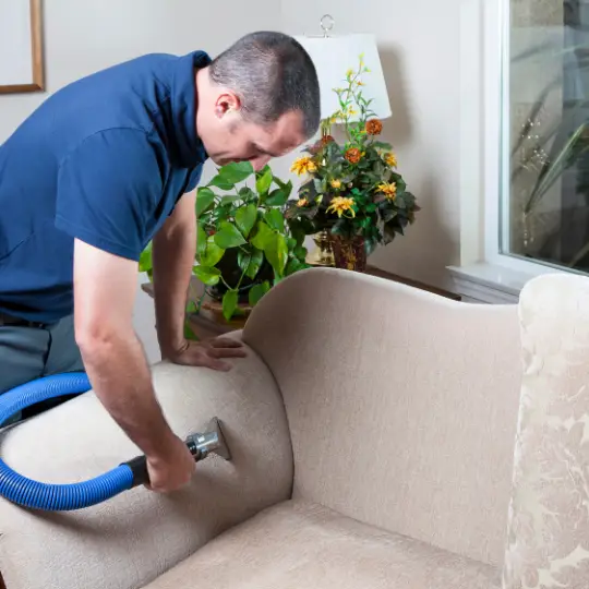 cleaning services norridge il cleaning services chi residential