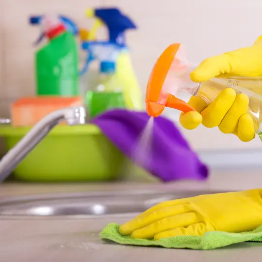 cleaning services spring grove il cleaning services chi residential