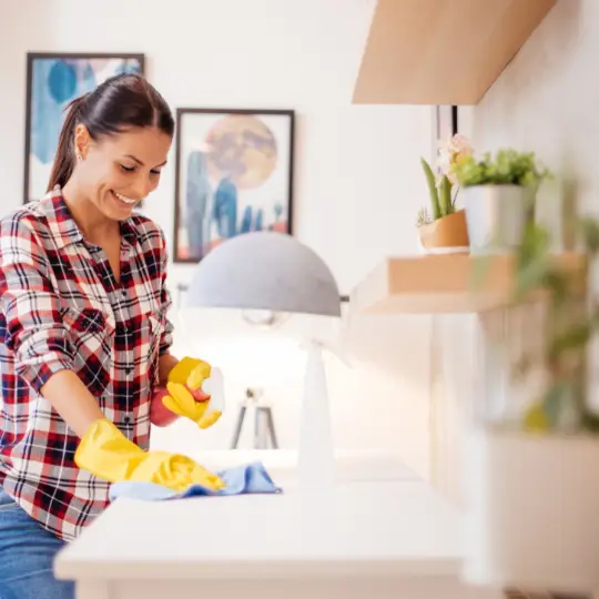house cleaning glendale heights il cleaning services chi residential