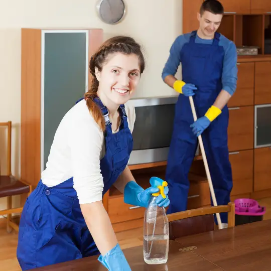 maid service barrington il cleaning services chi residential