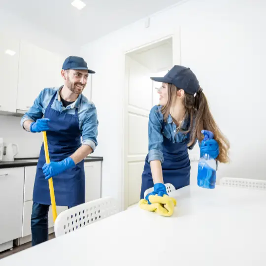 maid service fox lake il cleaning services chi residential