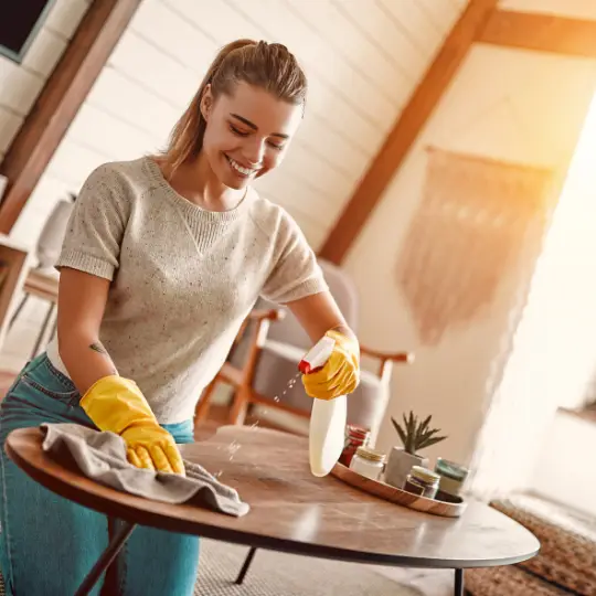 maid service glendale heights il cleaning services chi residential