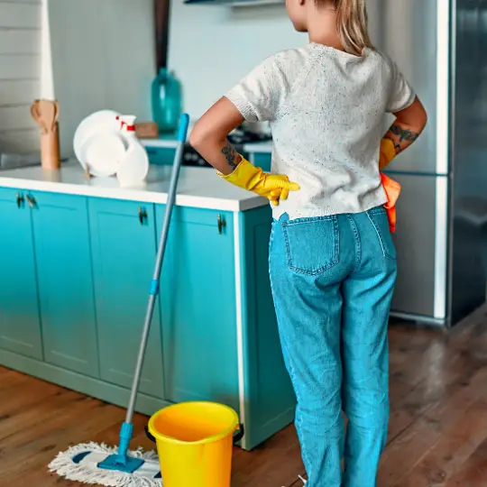 maid service la grange il cleaning services chi residential