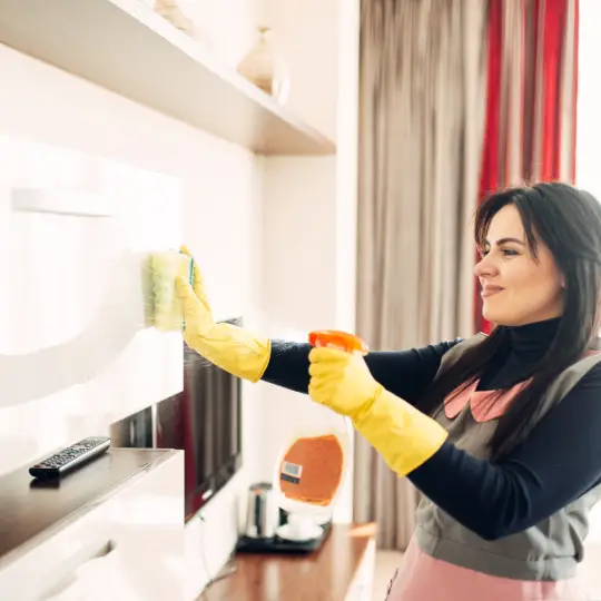 maid service lansing il cleaning services chi residential