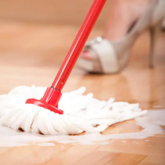 maid service round lake il cleaning services chi residential