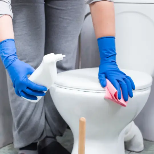 maid service wheeling il cleaning services chi residential